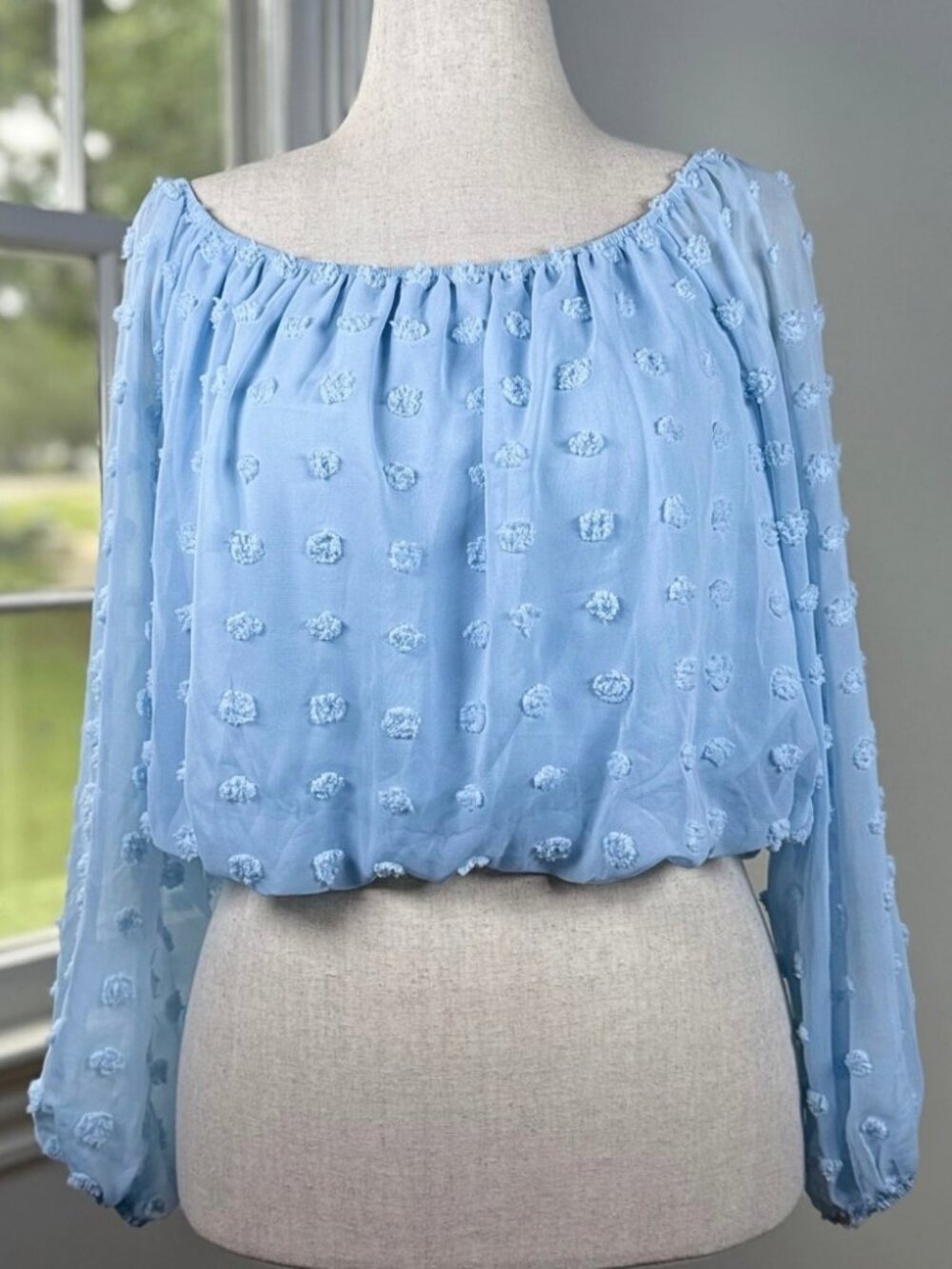 Baby Blue Off the Shoulder Balloon Sleeve Swiss Dot Peasant Top Small Coquette
